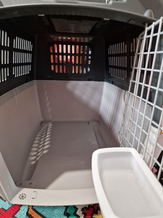 Cusca câine Gulliver 5