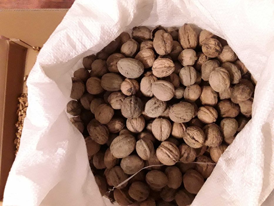 Nuci in coaja sau miez