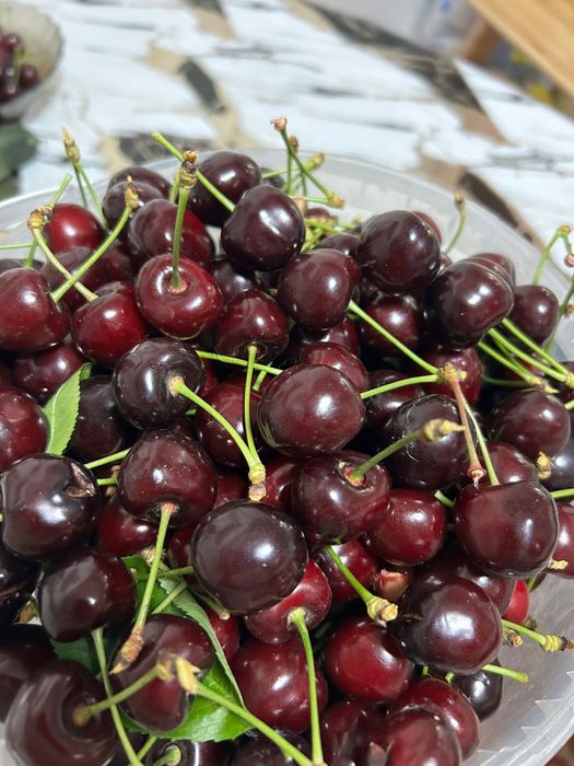 Продам черешню домашнию
