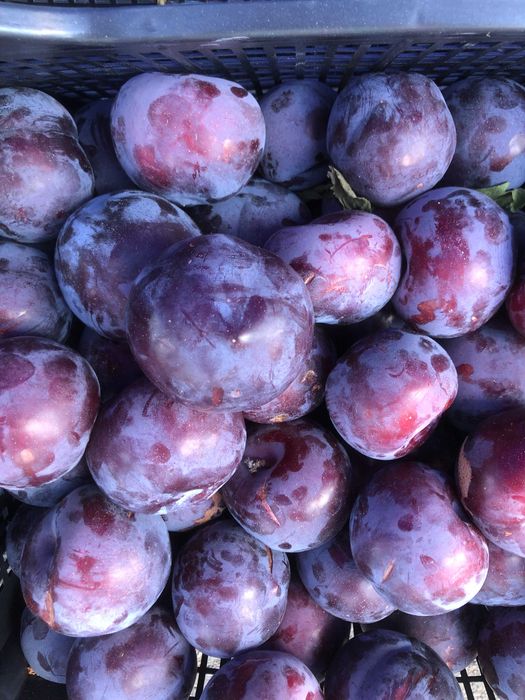 Vand prune pt consum si tuica