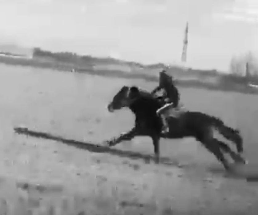 Аигыр 7. Жасар. Сатам