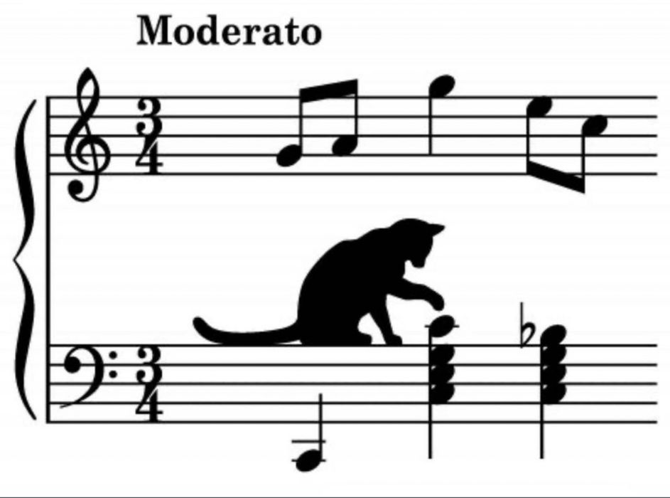 Уроки фортепиано , вокала ц5