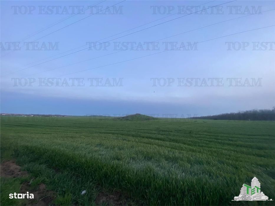 Teren intravilan 15000 mp Costinesti, Constanta
