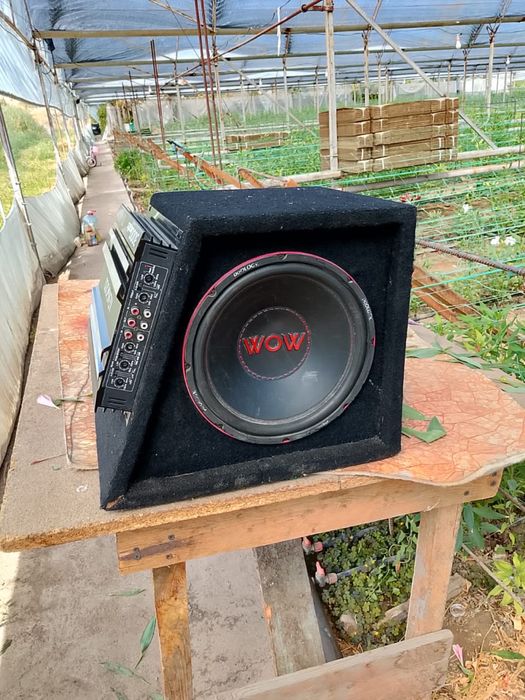 Жағдайы жақсы жақсы урып тур