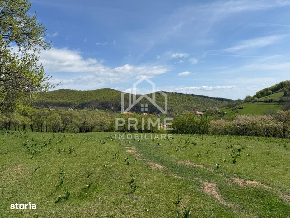 Teren Intravilan 8330 Mp, Inuri, Vintu De Jos