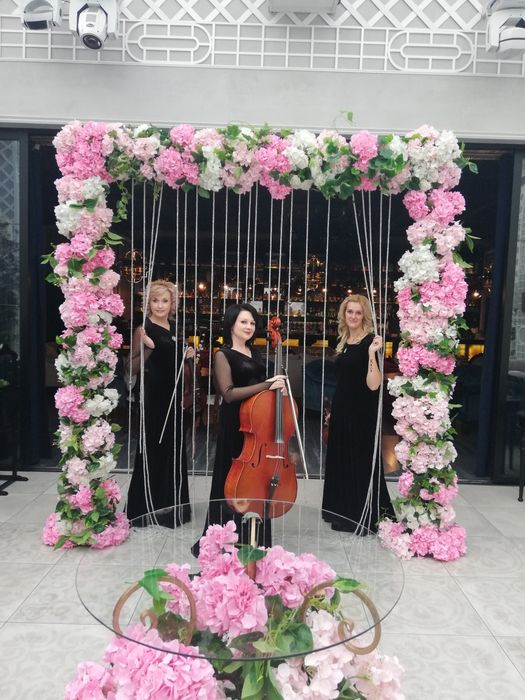 Har qanday tadbir uchunhar qand skripka, duet, trio, kvartet orkestr.