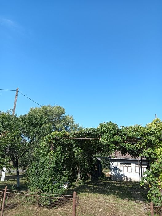Casă de vânzare Micula