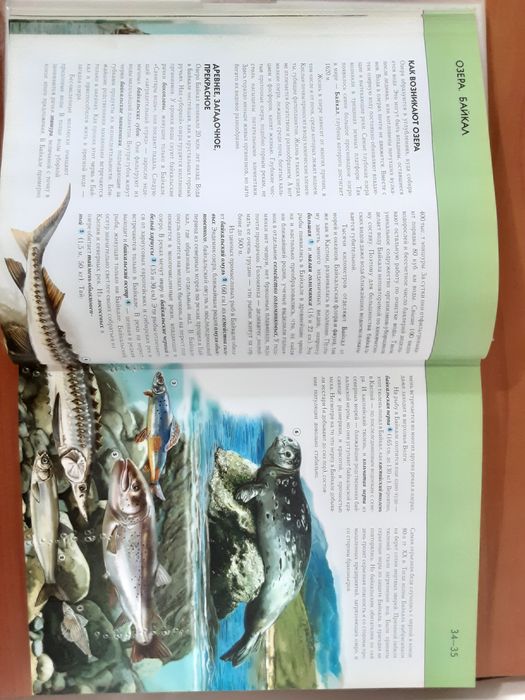 Подводный мир ( Полная энциклопедия )