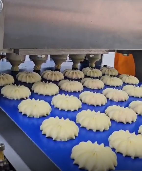 Отсадочная машина для печенья два бункера