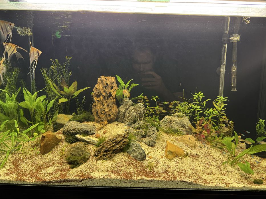 Acvariu 350litri  cu mobilier