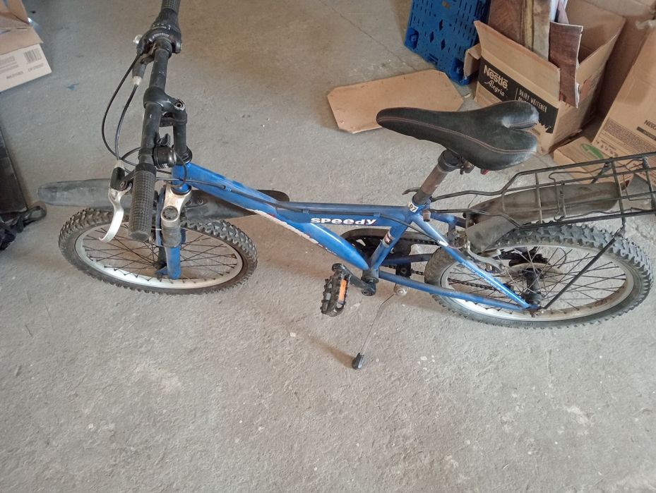 Bicicleta Speedy crosswave