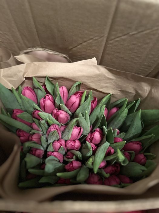 Тюльпаны к 8 марта премиум сорт