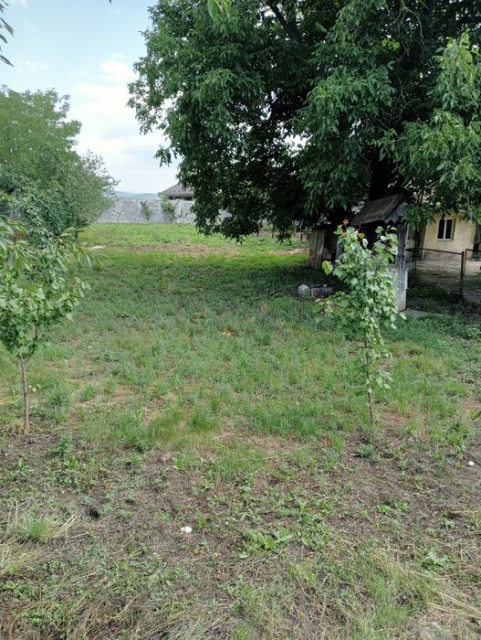 Casa de vanzare str fizesului Nr 17
