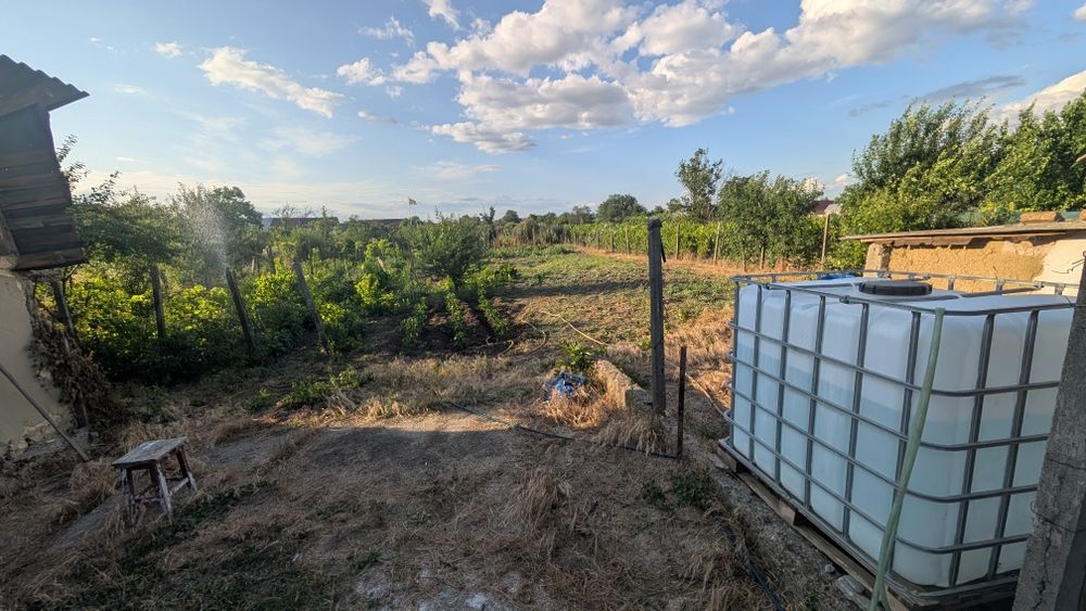 Vand 2 case bātrânesti în orasul Marasesti