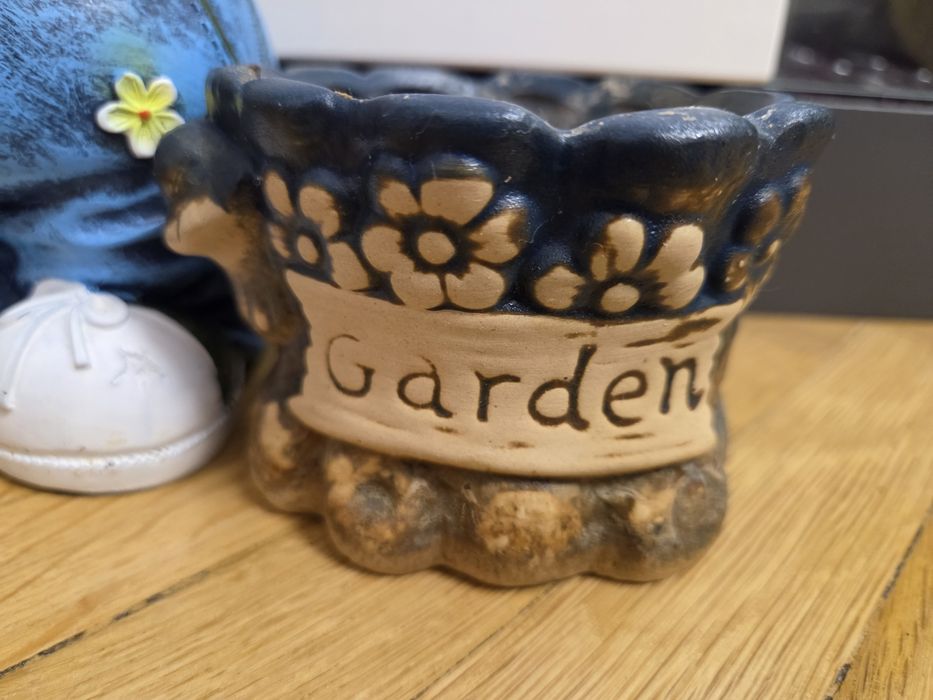 5 ghivece pentru plante mici