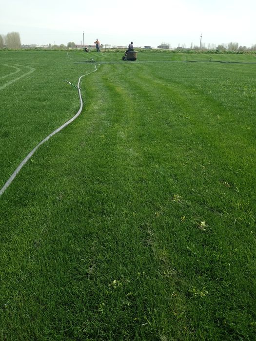 Gazon ekish va urug sepish paliv ornatish