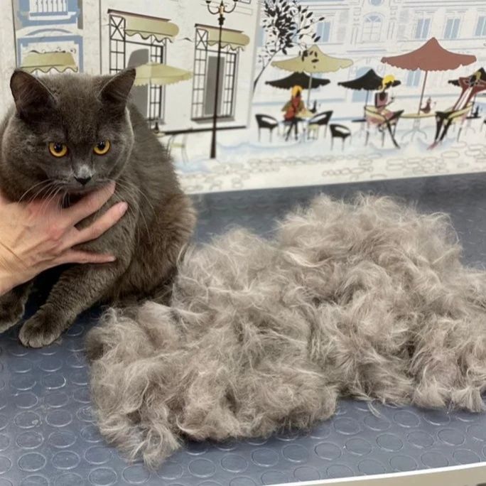 Стрижка, экспресс линька кошек