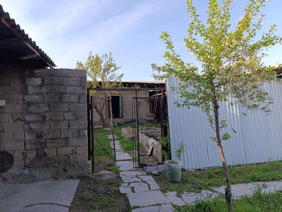 Самарканд чархинда