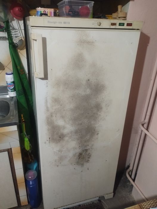 Фризер "Snaige"122