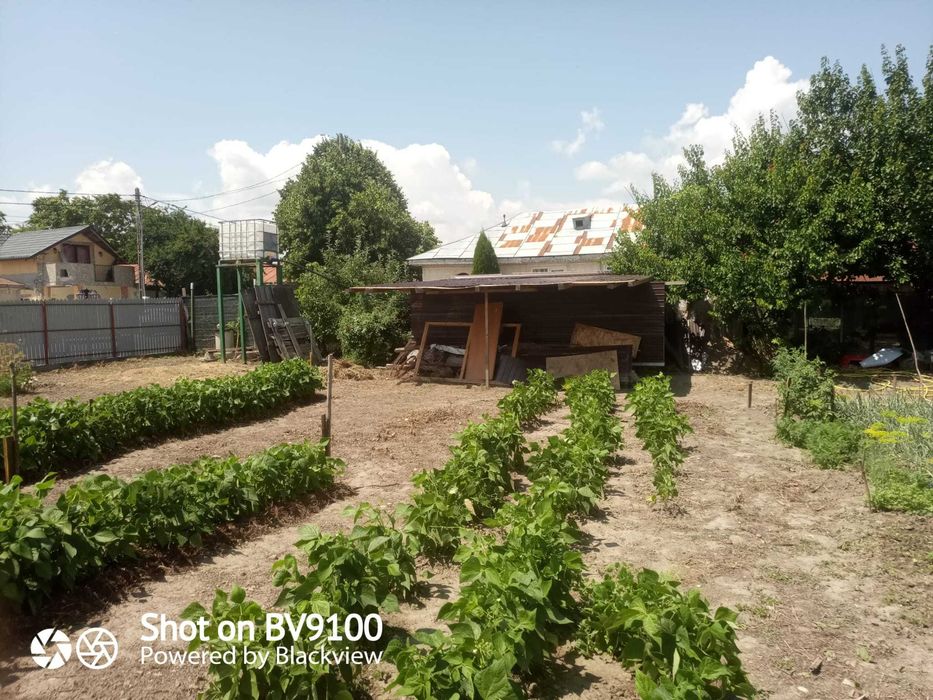 Casă din cărămidă cu teren generos și potențial excelent de dezvoltare – Zona centru Sihlea (Vrancea)
