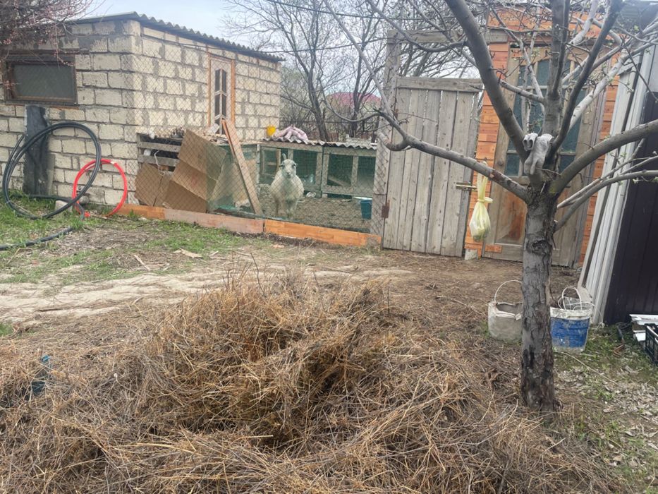 Продам дачный дом в Коктеме