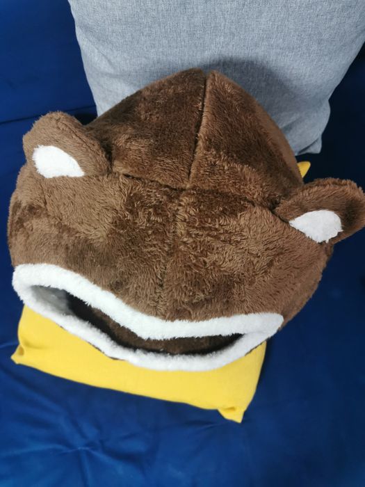 Casuta Caine sau pisica