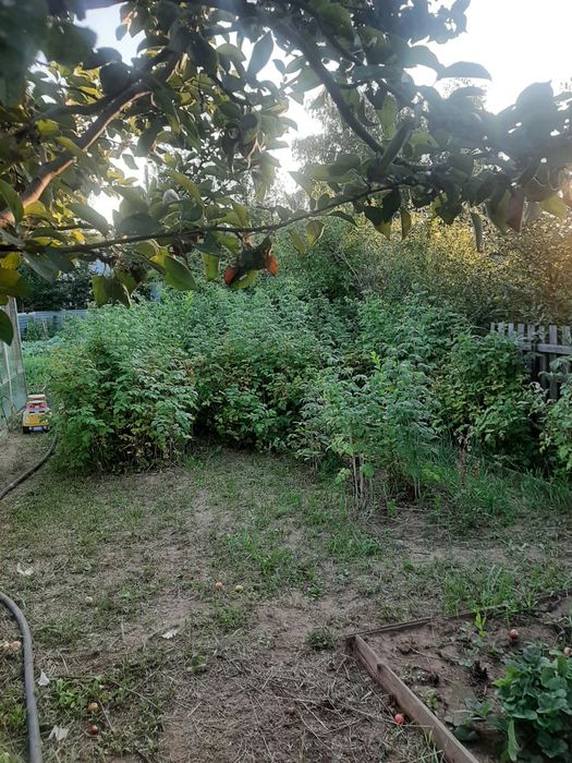 Продам дачу на федоровском водохранилище