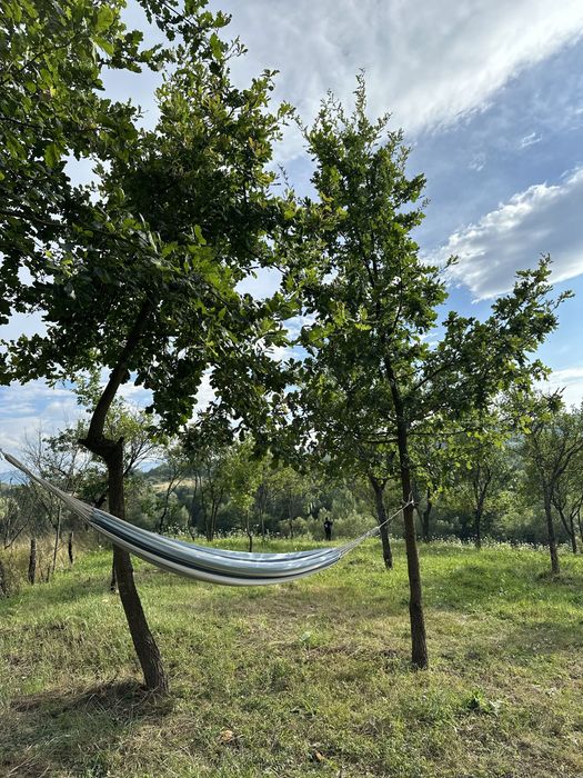 Teren panoramic 5.800 mp, acces la drum, vedere Munții Retezat, Ciula
