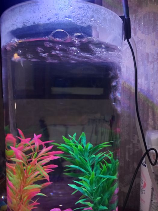 комплект аквариум  рыбки