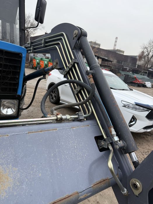 Продается кун (кун-10)