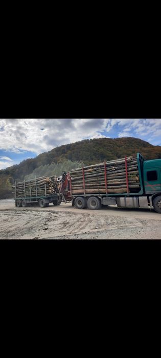 Lemn pentru foc(fag)