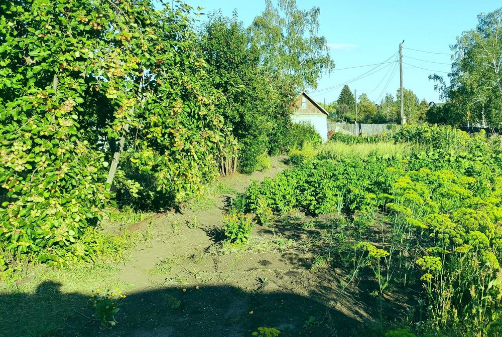 Продам дачу город Щучинск