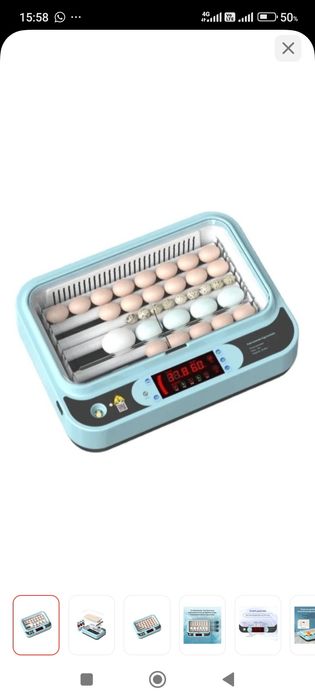 Инкубатор сатылады 17000 тг