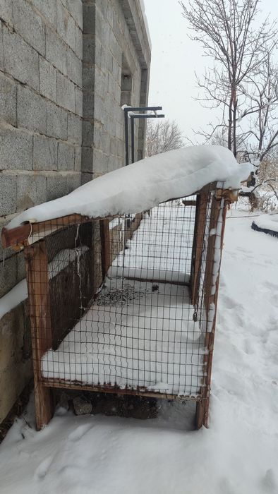 Барьер для кроликов