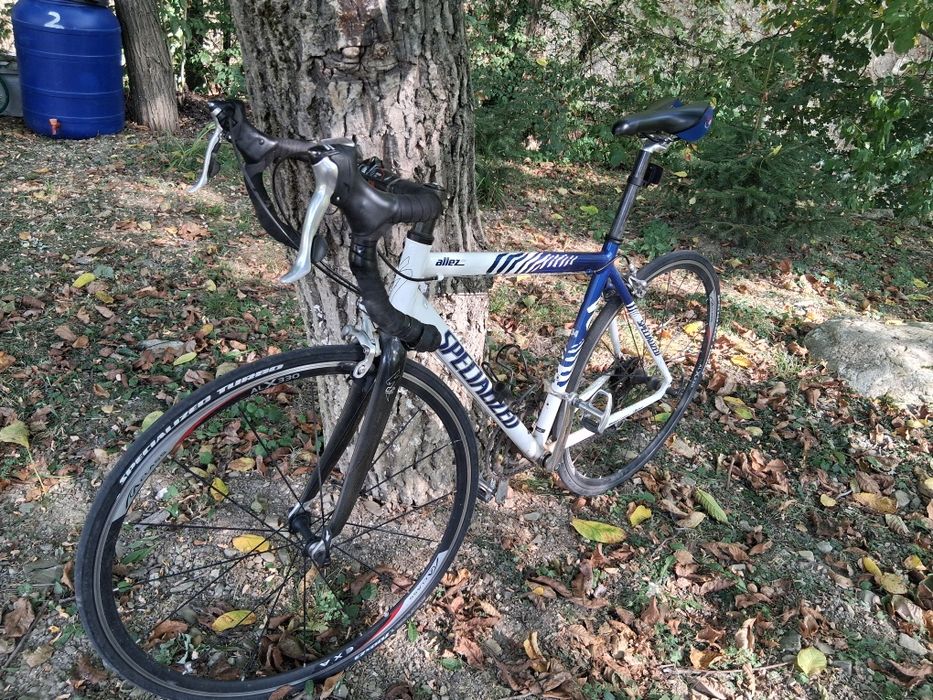 Cursiera  specialized  allez elite