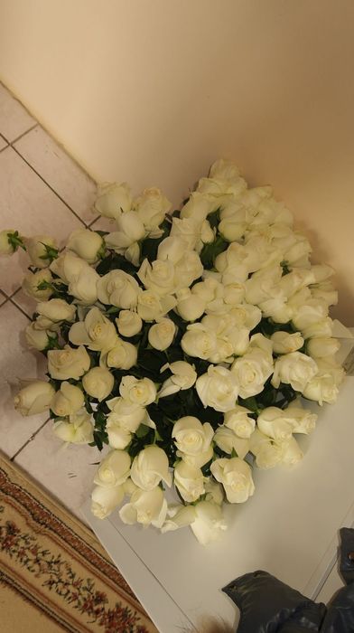 101 белые розыыы