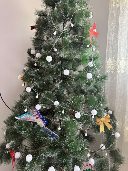 Шырша (ёлка) сатылады