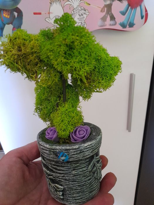 Картини от скандинавски мъх