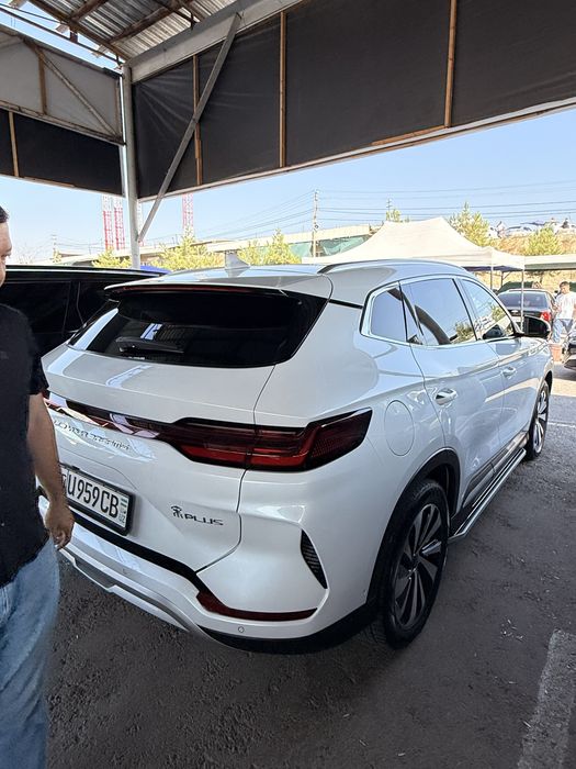 Byd chempion 605 tali tozza