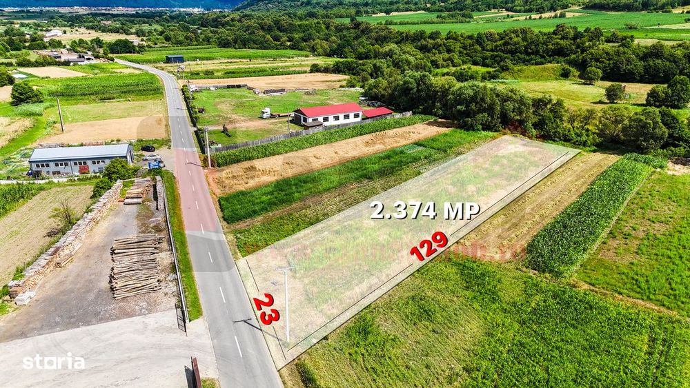 Oportunitate: Teren 2374 mp | Sadu | Deschidere la DJ | Asfalt | VIDEO