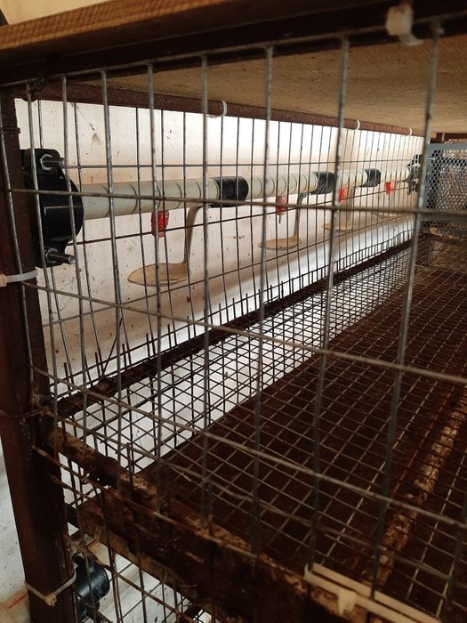 Продам клетки для перепёлок.