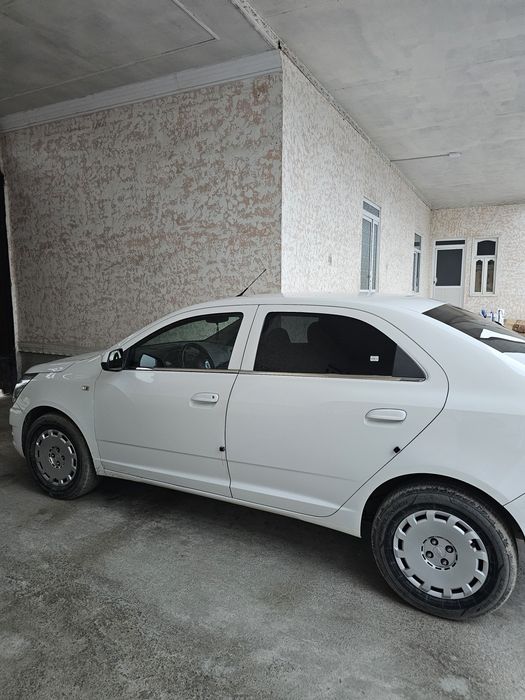 Koblt 2paditsa yurgani 135000 xolol faqat naqtga