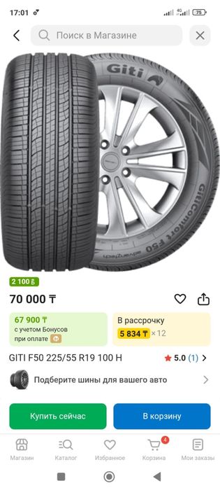Летние шины 225/55 R19