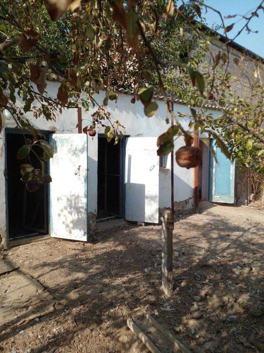 Продаю дачу,два участка по 6 соток,дом хоз постройки,плодовые деревья.