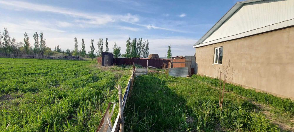 Продам дом и землю