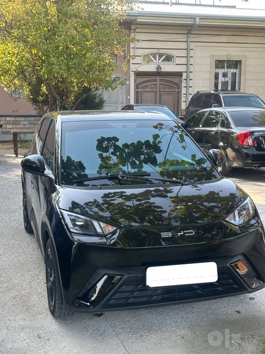 BYD seagul 2024 yil