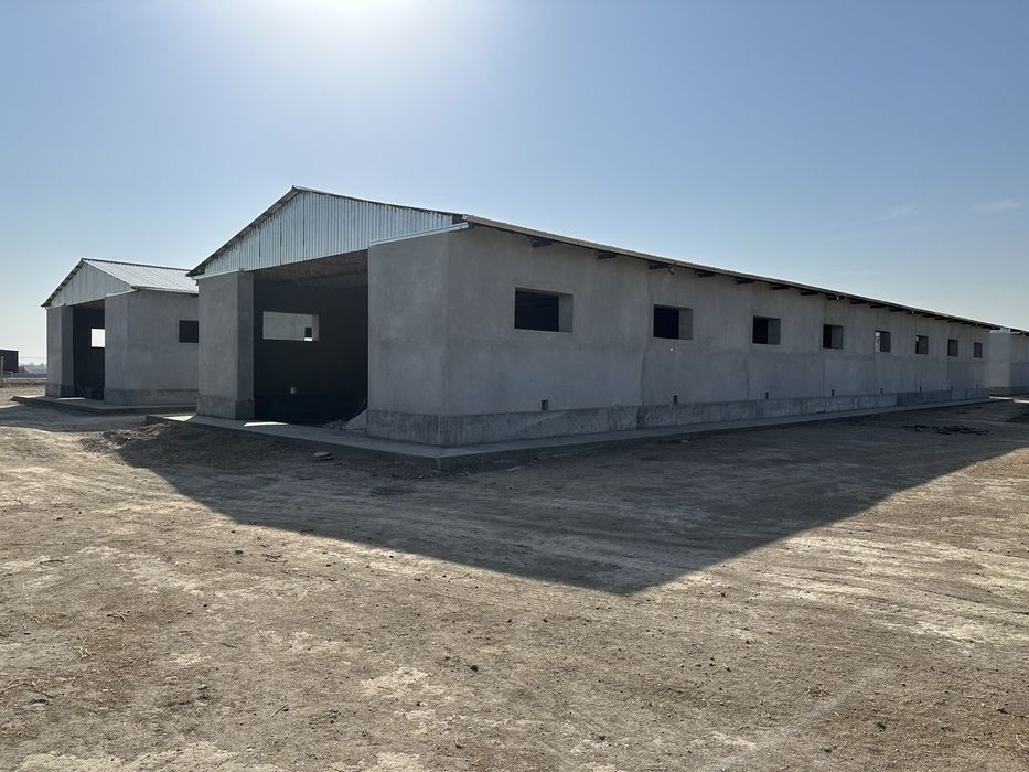 Чорвачилик молхонаси