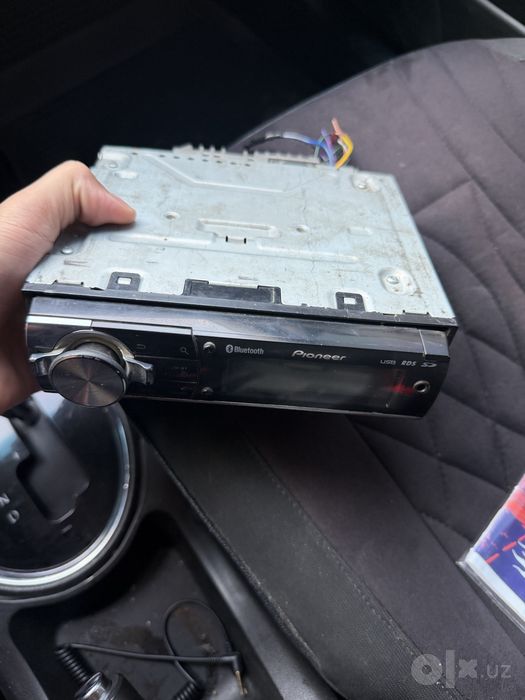 Pioneer dilfin aybi yuq