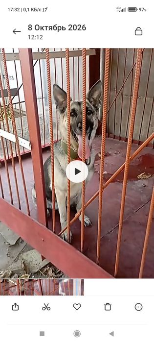 Продам.   срочно