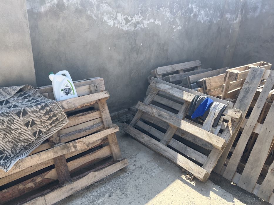 паддоны 16 штук